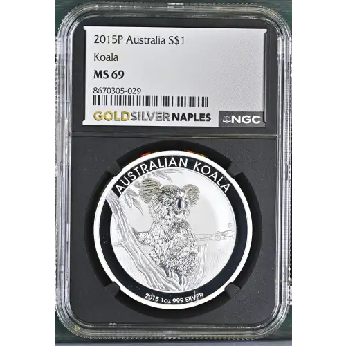 2015P Koala (2)