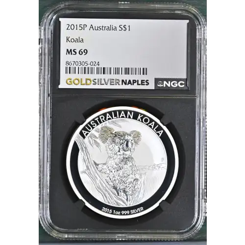 2015P Koala (2)