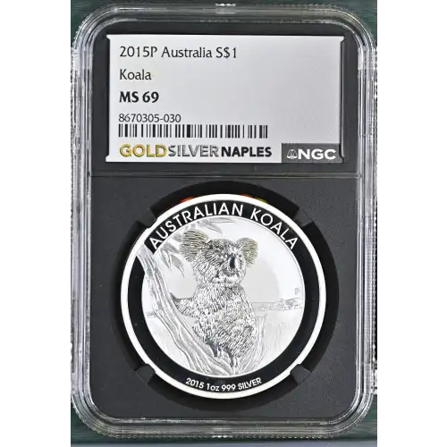 2015P Koala (2)