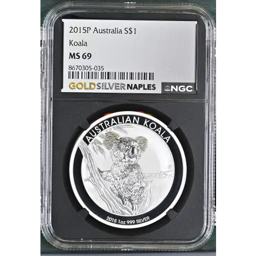 2015P Koala (2)