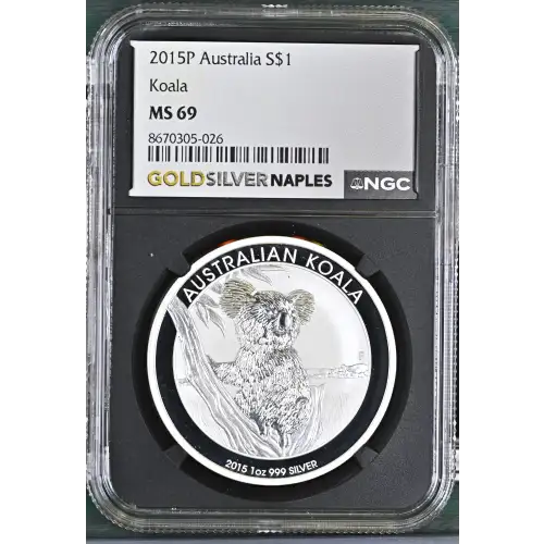 2015P Koala (2)