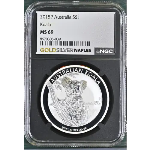 2015P Koala (2)
