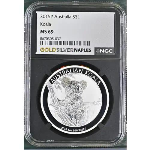 2015P Koala (2)