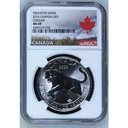 2016 Cougar Predator Series (2)
