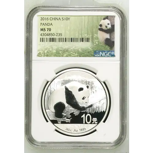2016 PANDA (2)