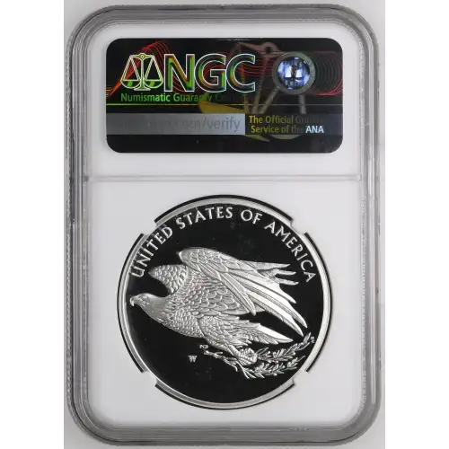 2016 W .999 FINE AMERICAN LIBERTY SERIES ULTRA CAMEO (3)