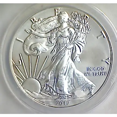 2017 $1 Silver Eagle