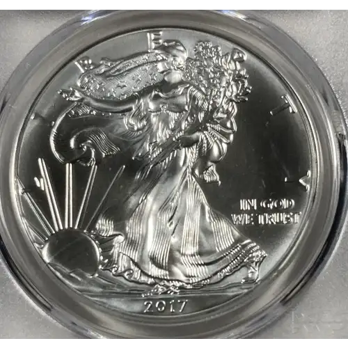 2017 $1 Silver Eagle