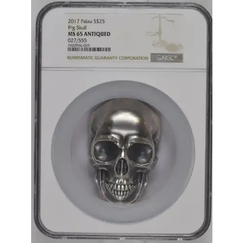 2017 Big Skull (2)