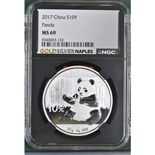 2017 Panda (2)