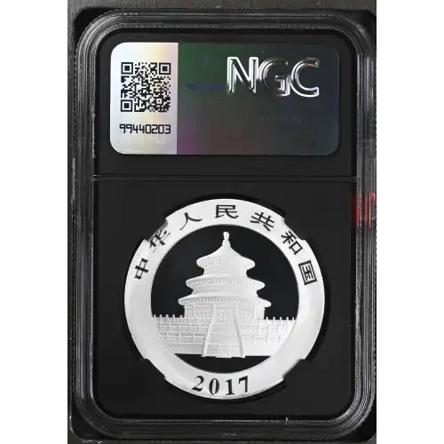 2017 Panda (3)