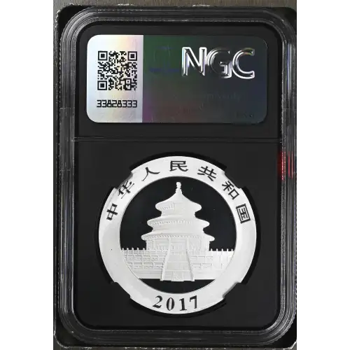 2017 Panda (3)