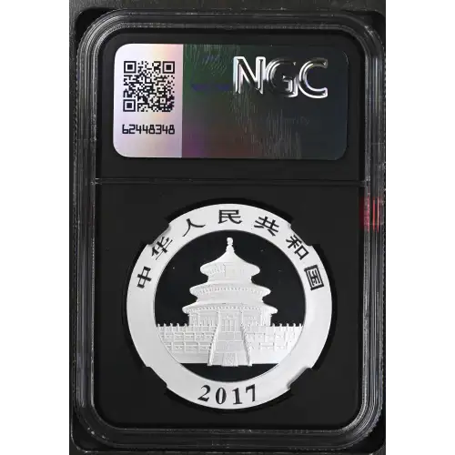 2017 Panda (3)