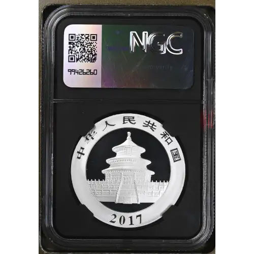 2017 Panda (3)