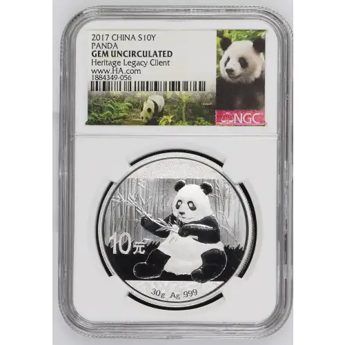 2017 Panda (2)