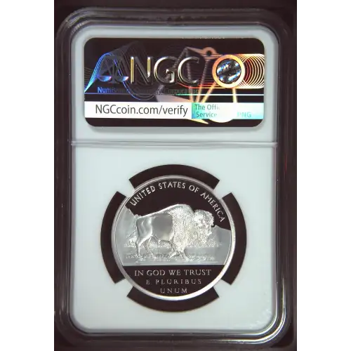 2017 T. Roosevelt Rough Rider Saint-Gaudens NPF Commem ULTRA CAMEO (3)