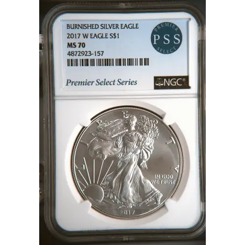 2017 W BURNISHED SILVER EAGLE (2)