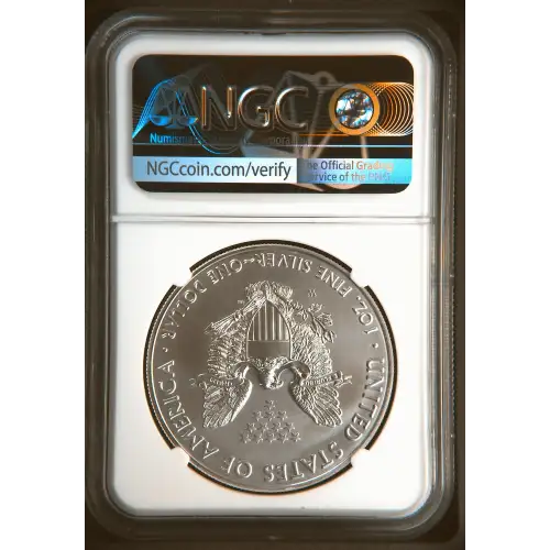 2017 W BURNISHED SILVER EAGLE (3)