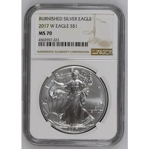 2017 W BURNISHED SILVER EAGLE (2)