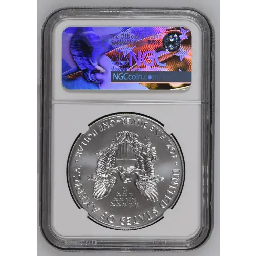2017 W BURNISHED SILVER EAGLE (3)