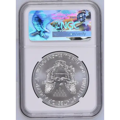 2017 W BURNISHED SILVER EAGLE FIRST DAY OF ISSUE (3)