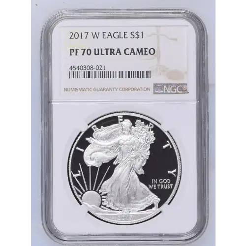 2017 W  ULTRA CAMEO (2)
