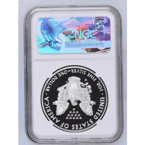 2017 W  ULTRA CAMEO (3)