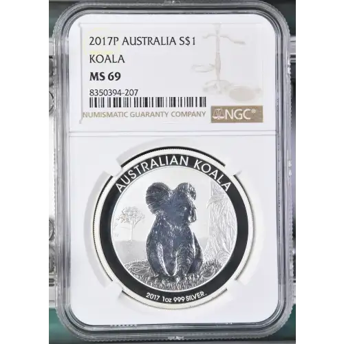 2017P Koala (2)