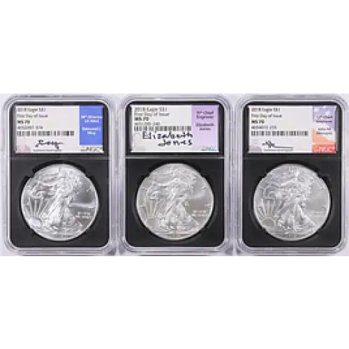 2018 1 oz Silver Eagle MS70 NGC