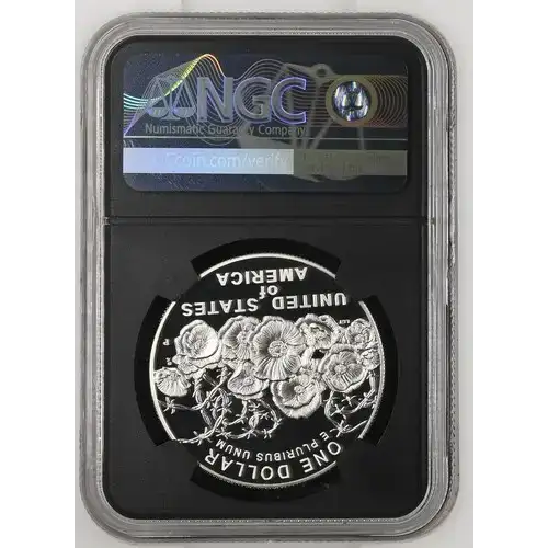 2018 P World War I Centennial S$1 PF 69 ULTRA CAMEO (2)