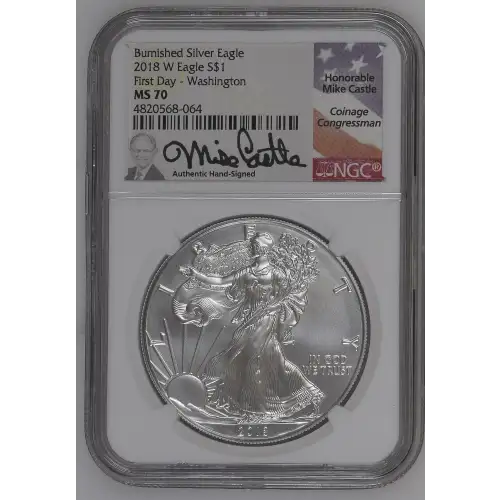 2018 W Burnished Silver Eagle First Day - Washington DC (2)