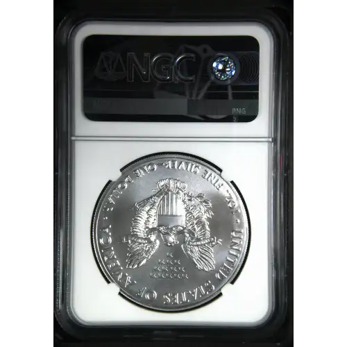 2019 (3)