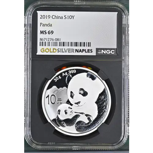 2019 Panda (2)
