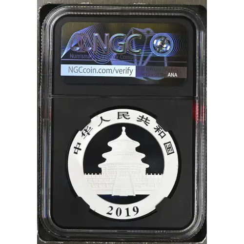 2019 Panda (3)