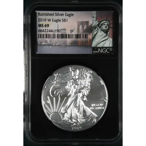 2019 W Burnished Silver Eagle (2)