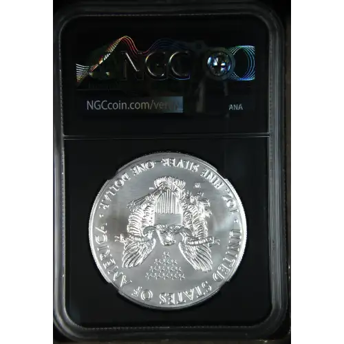 2019 W Burnished Silver Eagle (3)