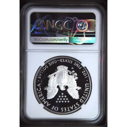 2019 W  ULTRA CAMEO (3)