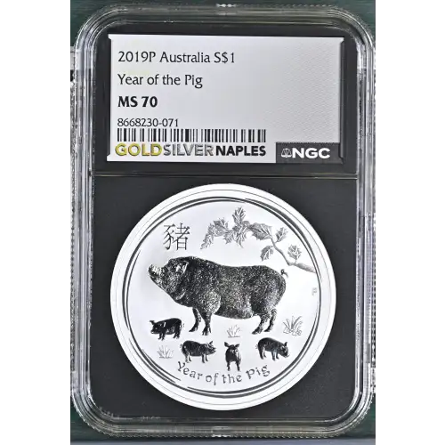 2019P Year of the Pig (2)