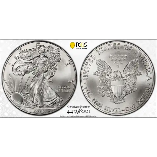 2020 $1 Silver Eagle (2)