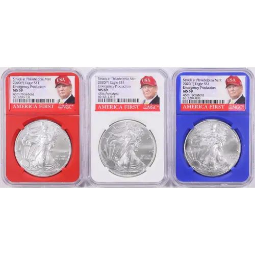 2020 (P) Eagle $1 MS69 Donald Trump - America First 

Red, White, and Blue Donald Trump Labels. Individually Sold