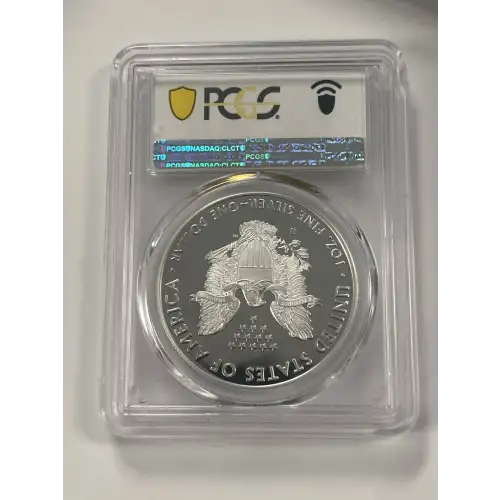 2020-S $1 Silver Eagle, DCAM (2)