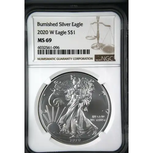 2020 W Burnished Silver Eagle (2)