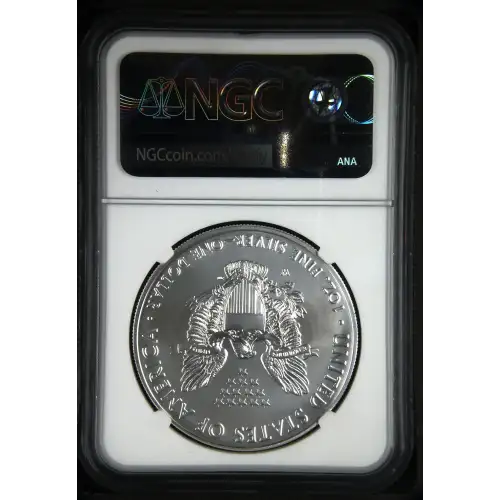 2020 W Burnished Silver Eagle (3)