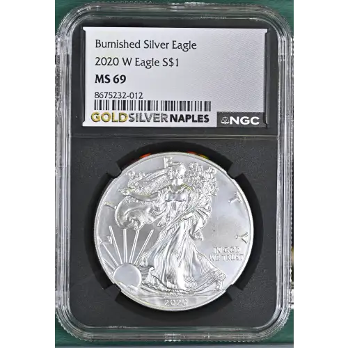 2020 W Burnished Silver Eagle (2)