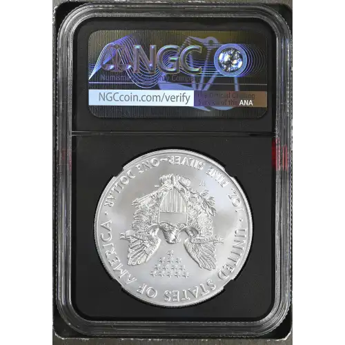 2020 W Burnished Silver Eagle (3)