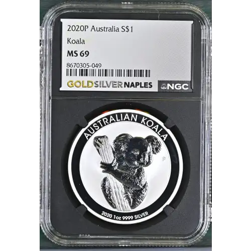 2020P Koala (2)