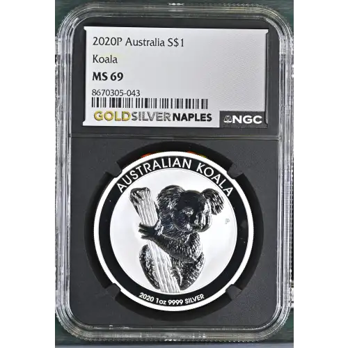 2020P Koala (2)