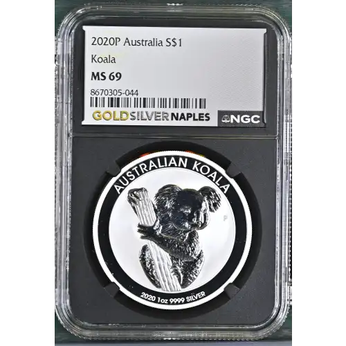 2020P Koala (2)