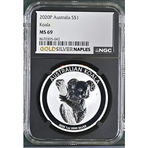 2020P Koala (2)