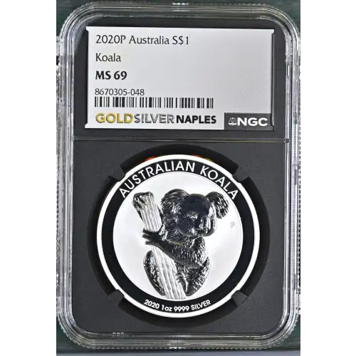 2020P Koala (2)
